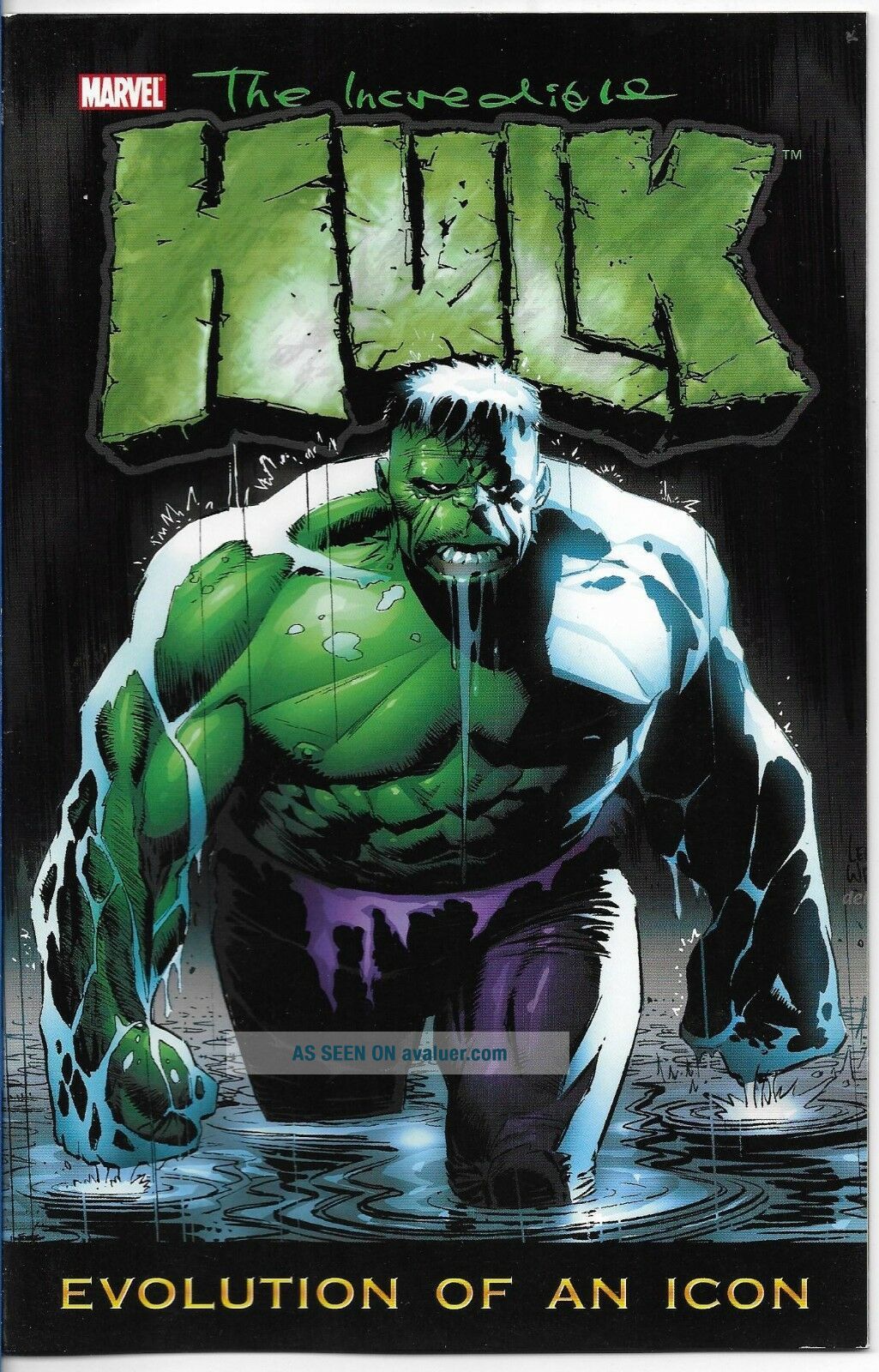 Marvel THE INCREDIBLE HULK Evolution Of An Icon RARE Promotional Pin ...