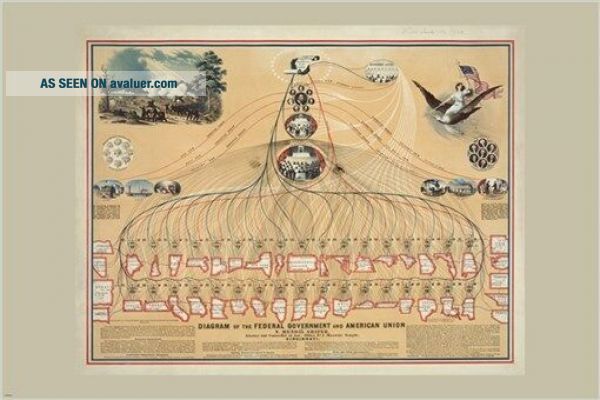 Diagram Of The US FEDERAL GOVERNMENT American Union VINTAGE POSTER ...